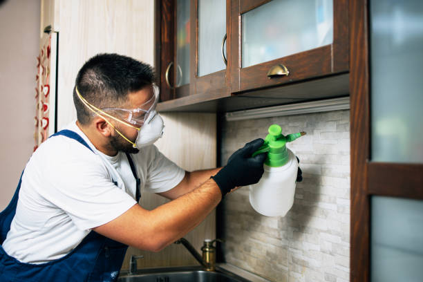 Best Wildlife Control Services  in Westwood, KS