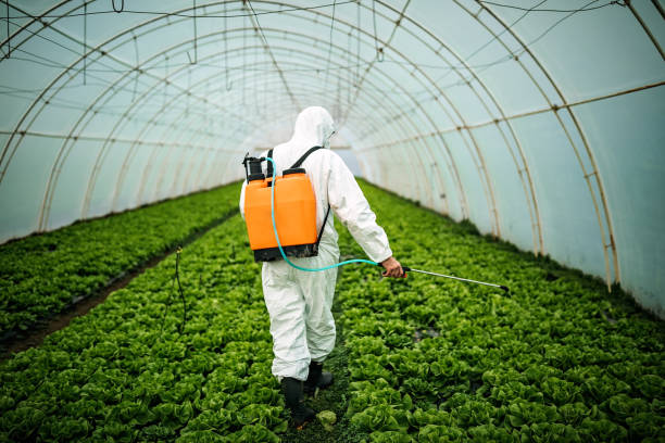 Best Residential Pest Control  in Westwood, KS