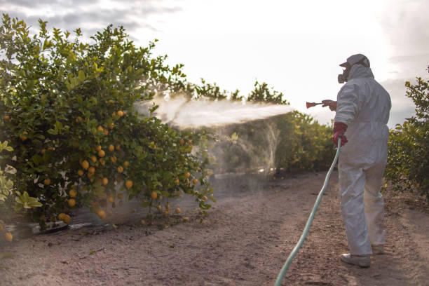 Best Commercial Pest Control Services  in Westwood, KS