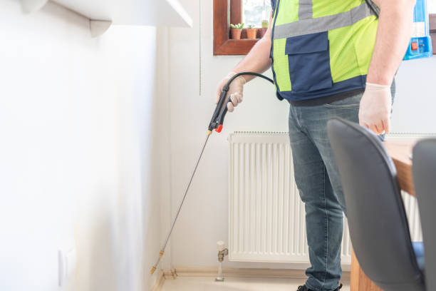 Best Wasp Removal Services  in Westwood, KS